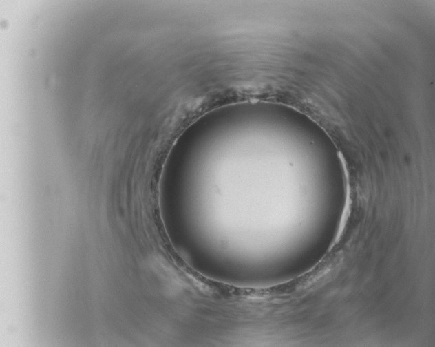 X0000073750961200608102016