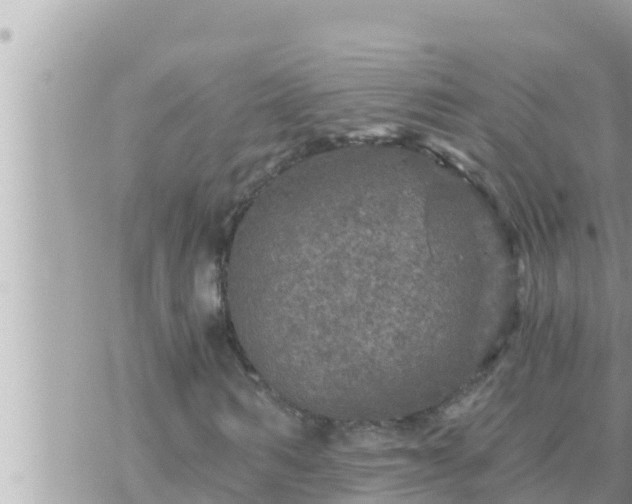 X0000073750962200608102016