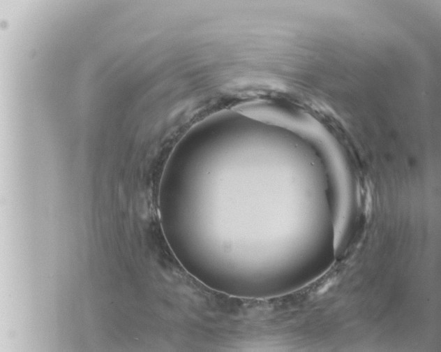 X0000073750965200608102016