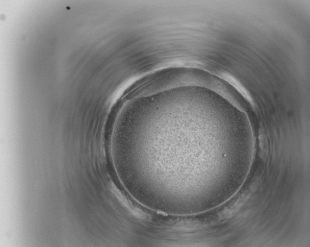 X0000073750972200608102016