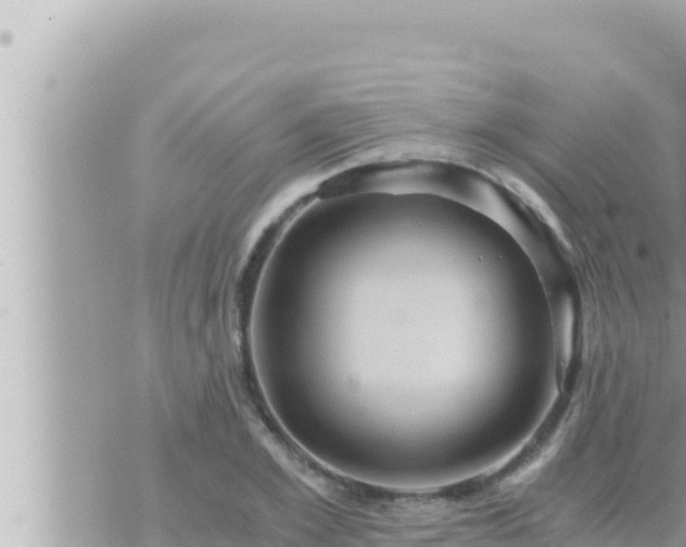 X0000073750981200608102016