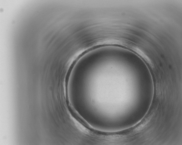 X0000073750988200608102016