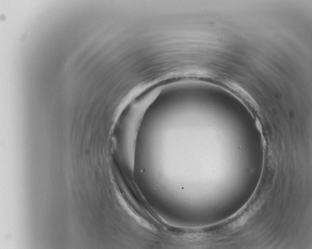 X0000073750989200608102016