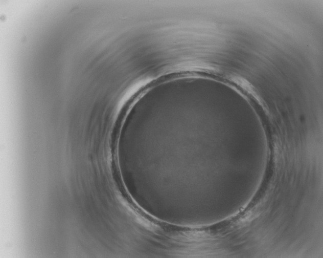 X0000073751024200608102015