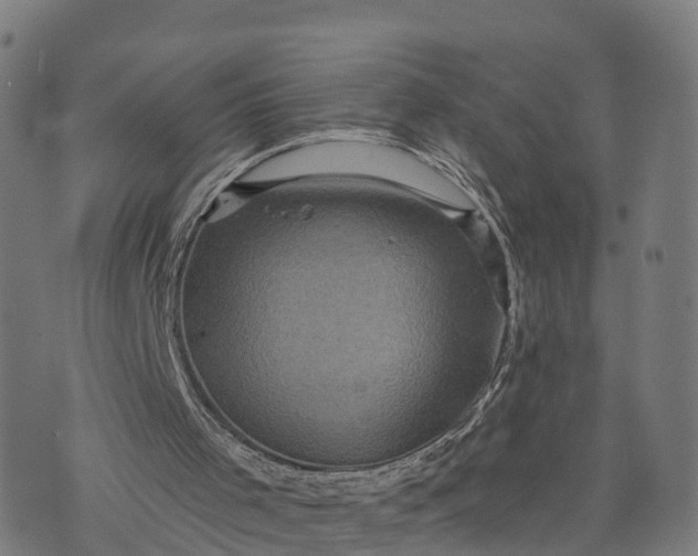 X0000073750001200608171343