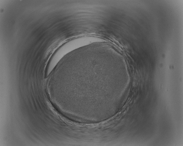 X0000073750002200608171343