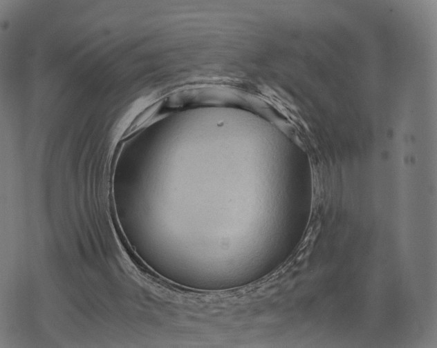 X0000073750003200608171343