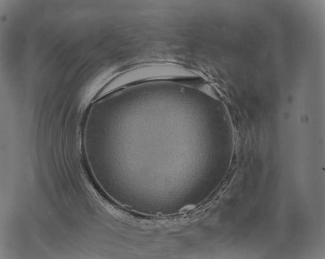 X0000073750005200608171343