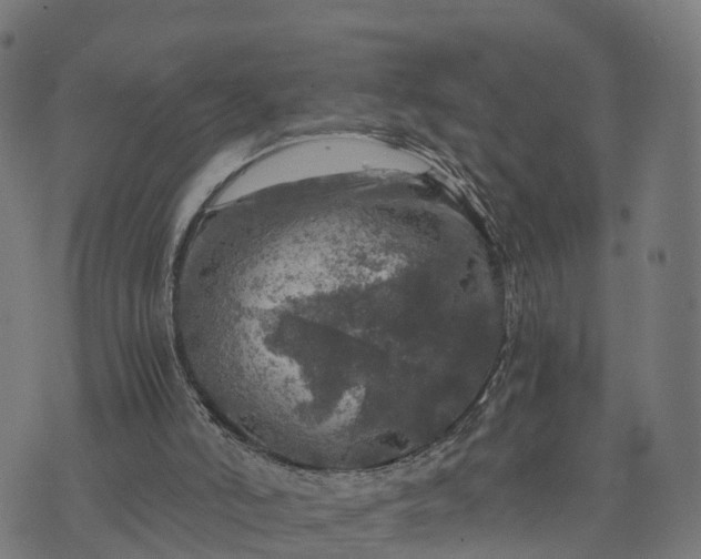 X0000073750006200608171343