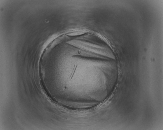 X0000073750008200608171343