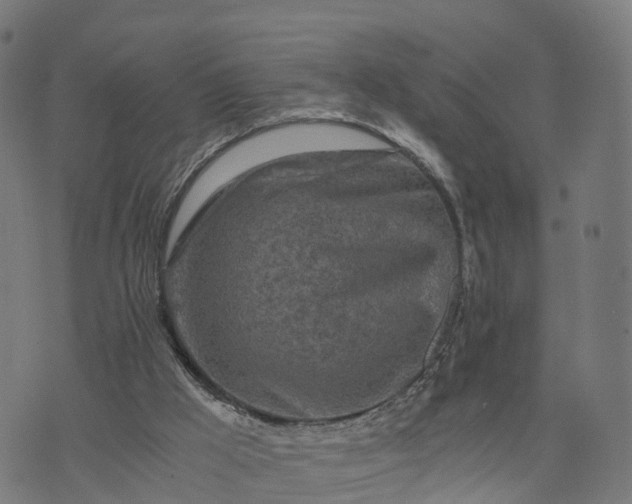 X0000073750009200608171343