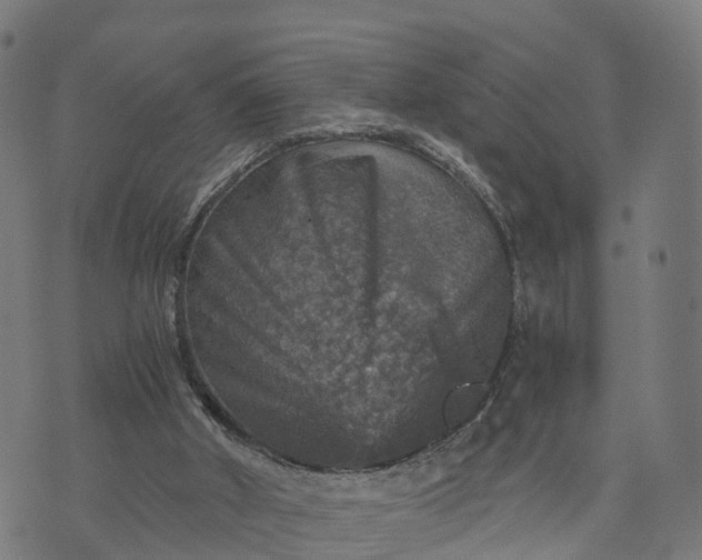 X0000073750010200608171343