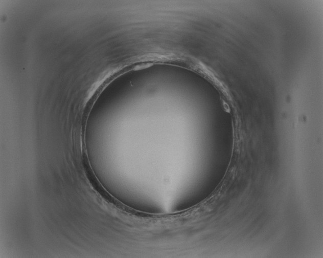 X0000073750011200608171343