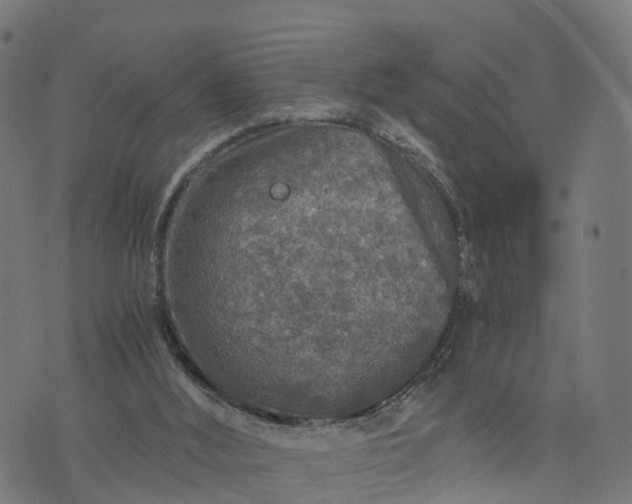 X0000073750012200608171343