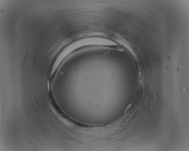 X0000073750013200608171343