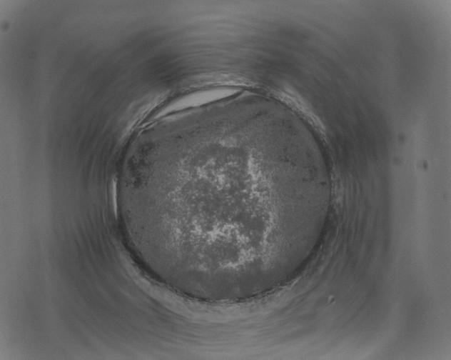 X0000073750014200608171343