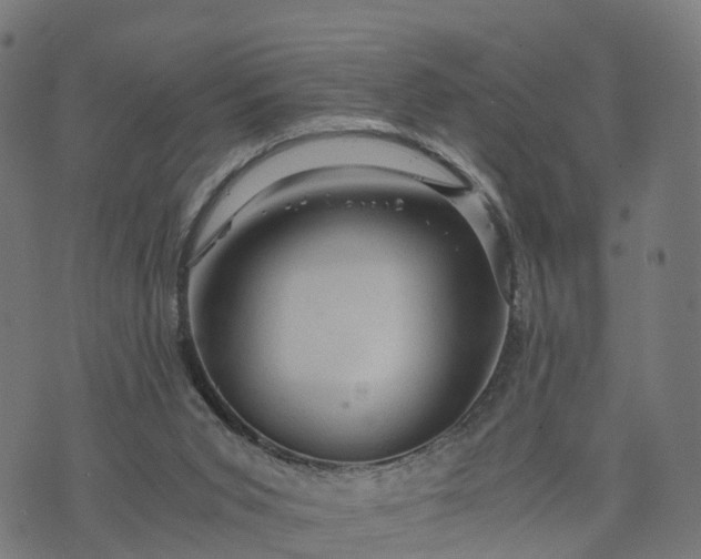 X0000073750015200608171343