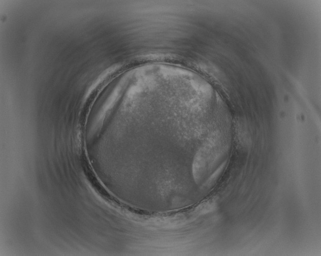 X0000073750016200608171343