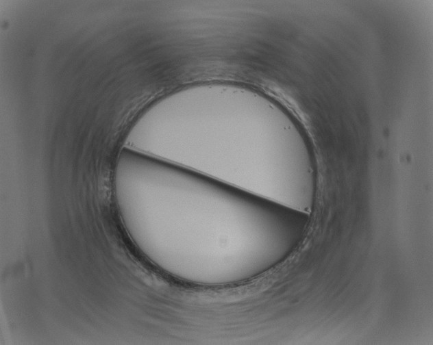 X0000073750017200608171343