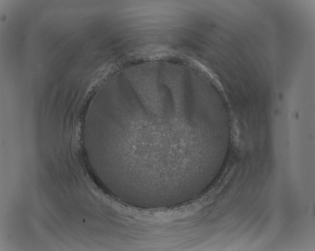 X0000073750018200608171343