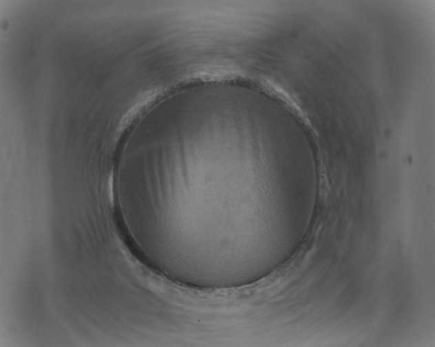 X0000073750019200608171343