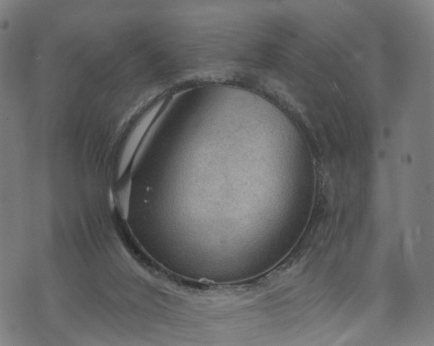 X0000073750020200608171343