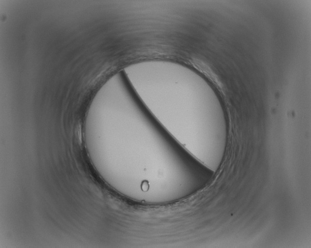 X0000073750021200608171343