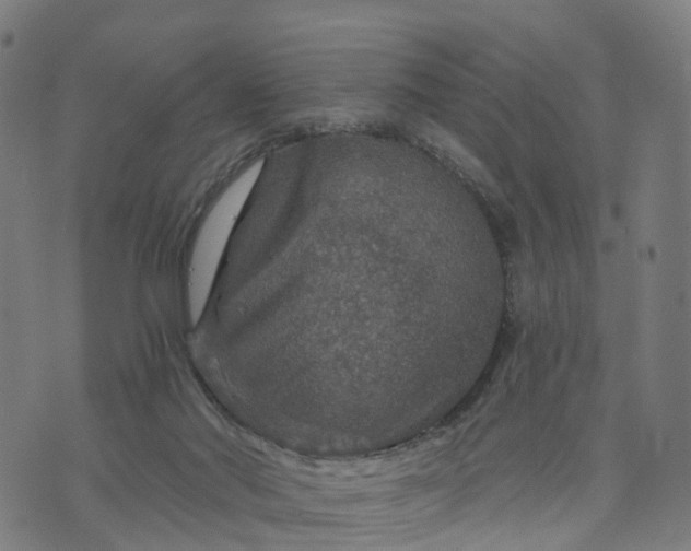 X0000073750022200608171343