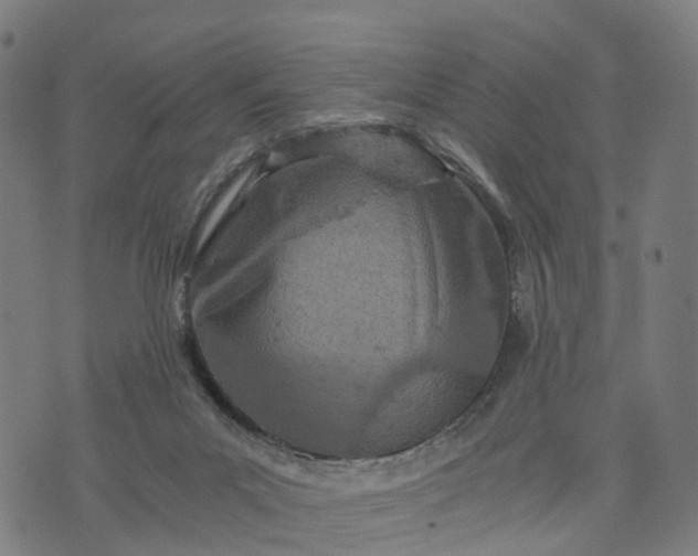 X0000073750023200608171343