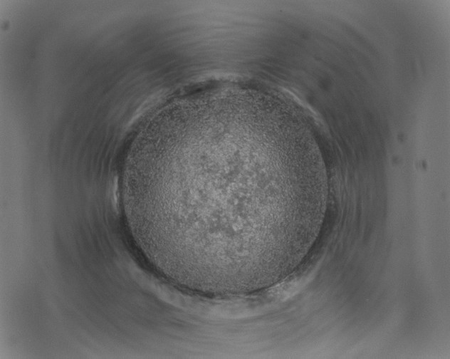 X0000073750024200608171343