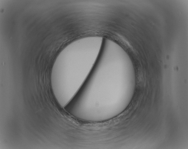 X0000073750025200608171342