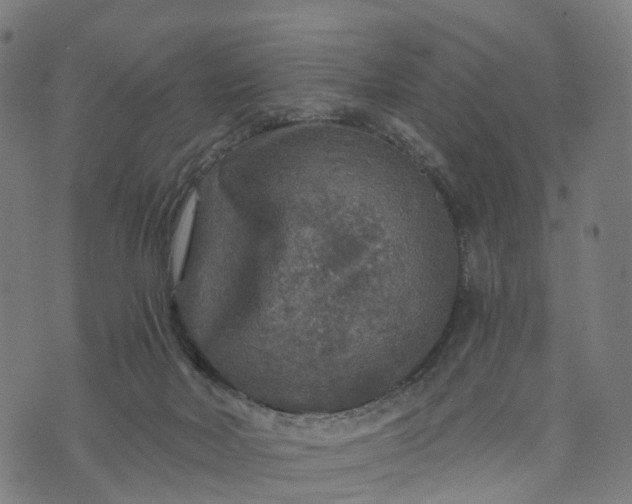 X0000073750026200608171342