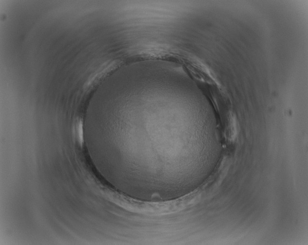 X0000073750027200608171342