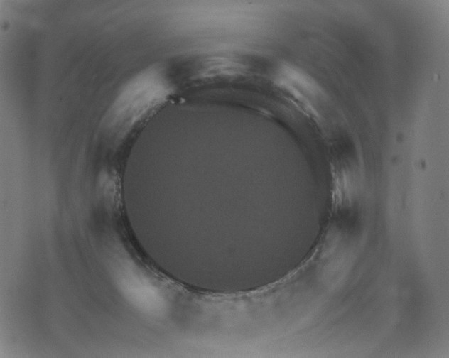 X0000073750029200608171342