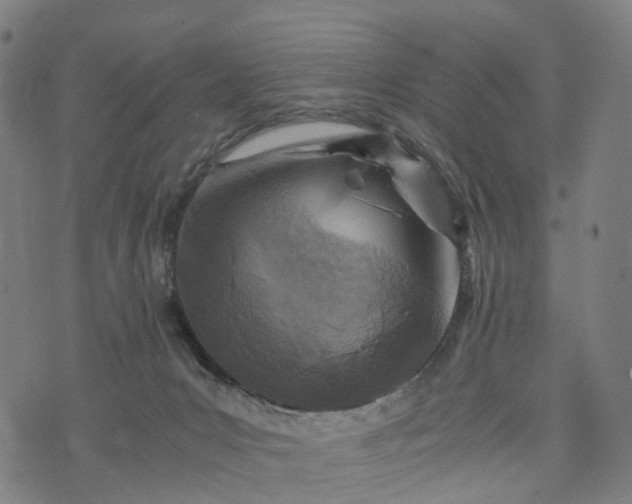 X0000073750031200608171342