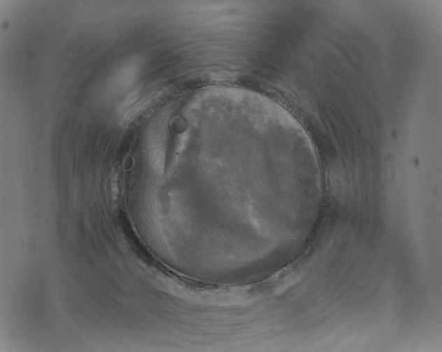 X0000073750032200608171342