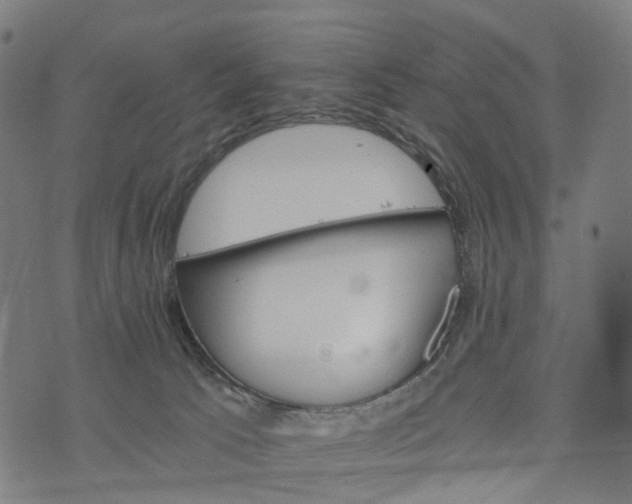 X0000073750033200608171342