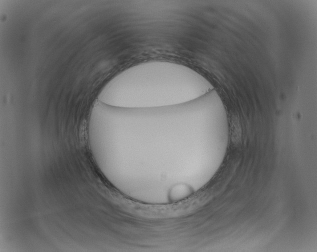 X0000073750034200608171342