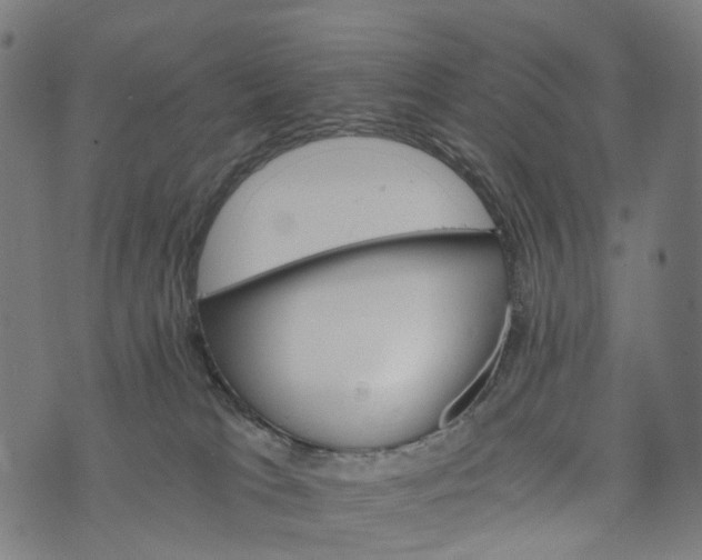 X0000073750037200608171342