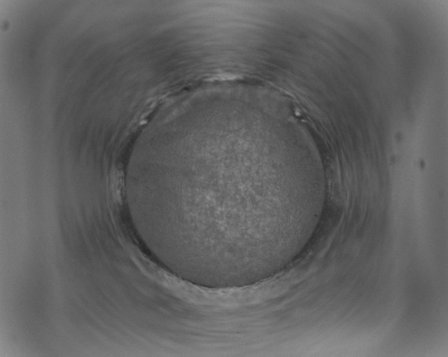 X0000073750038200608171342