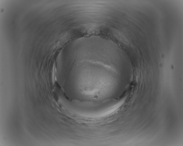 X0000073750039200608171342