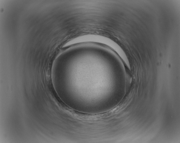 X0000073750040200608171342