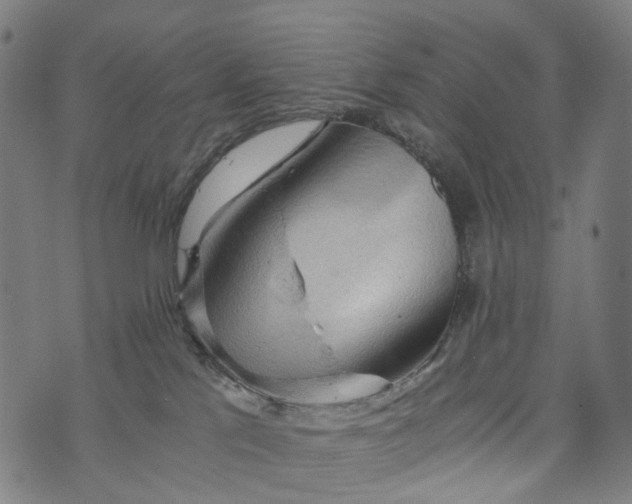 X0000073750041200608171342