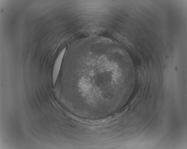 X0000073750042200608171342