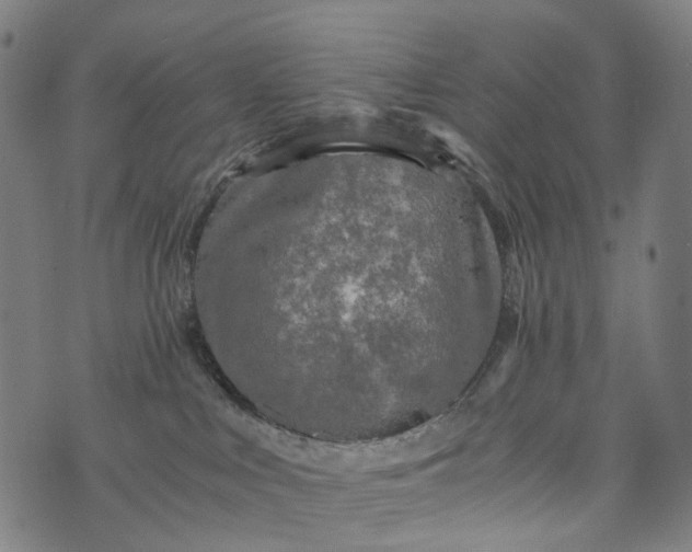 X0000073750043200608171342