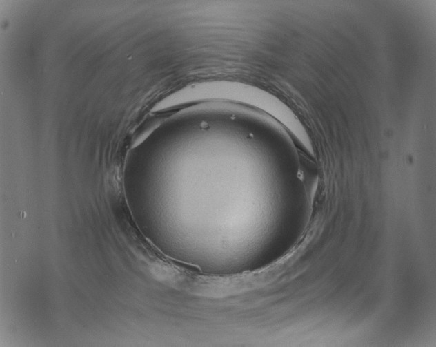 X0000073750045200608171342