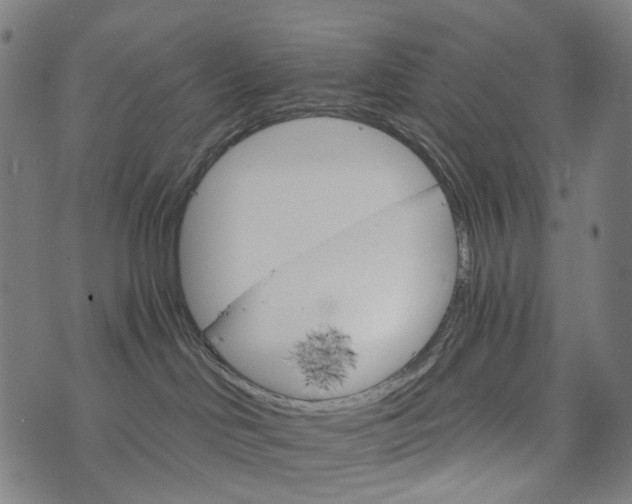 X0000073750046200608171342