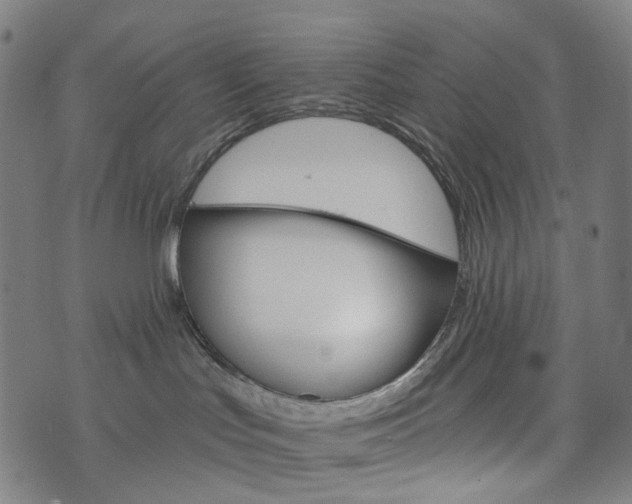 X0000073750047200608171342