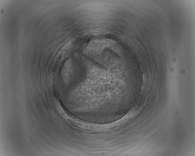 X0000073750048200608171342