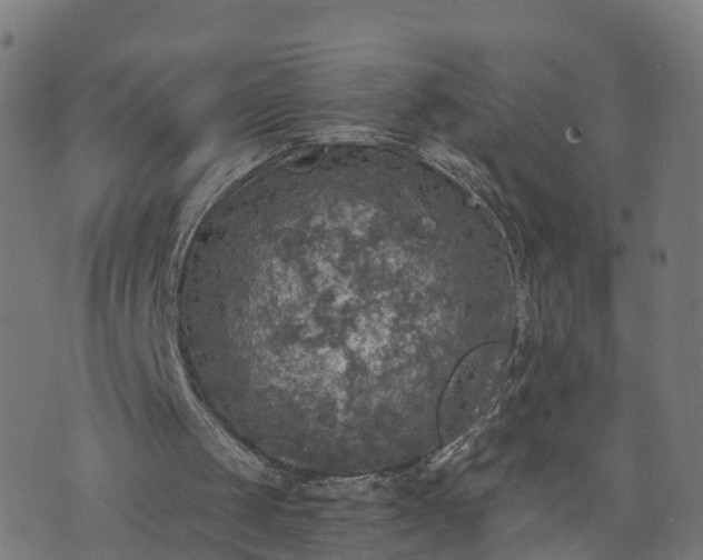 X0000073750049200608171341